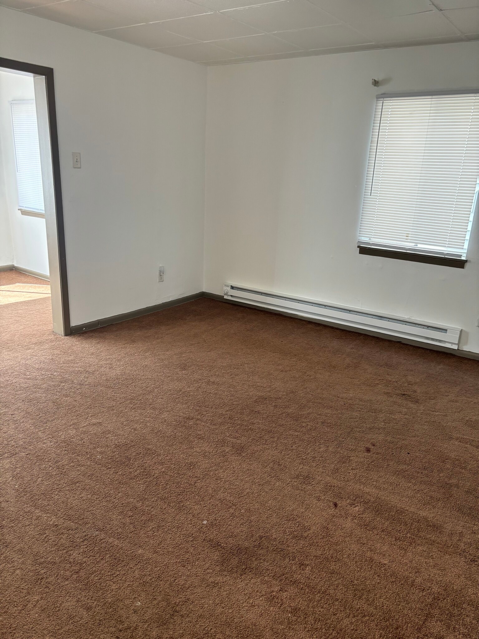 Living room - 196-1 S Mount Vernon Ave