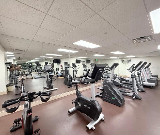 Building Photo - 345 Bayshore Blvd