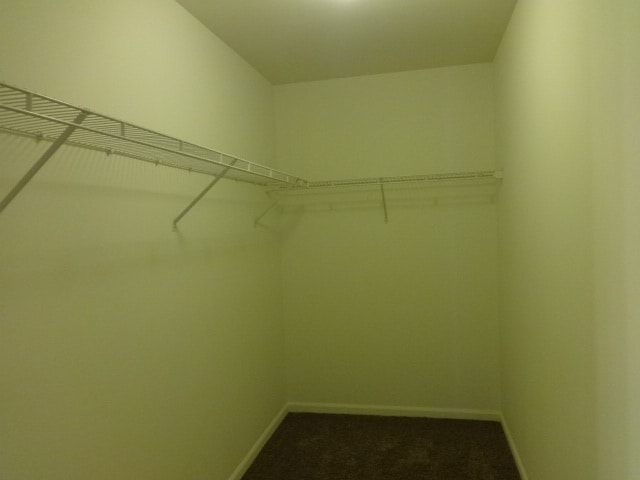 Building Photo - 2012 Primrose Dr