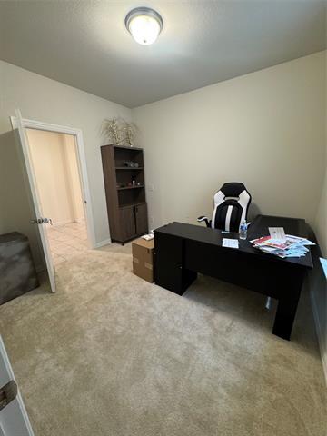 Building Photo - 231 Hadley Ln