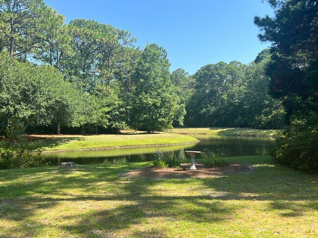 Building Photo - 20 Purple Martin Ln