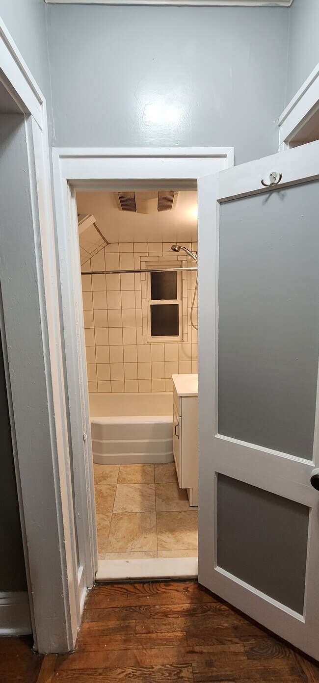 Bathroom - 295 S Allen St