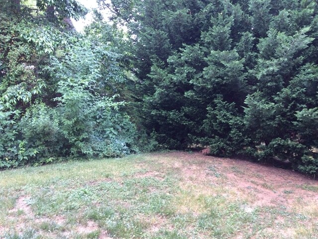 Building Photo - 5216 Grays Ridge Dr