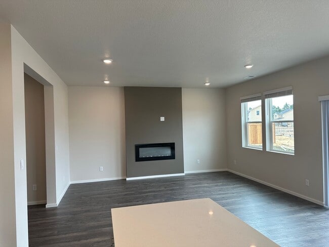 Building Photo - Brand new 4 bedroom 2.5 bathroom house!