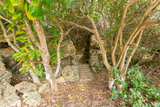 Building Photo - 55-116-116 Naupaka St