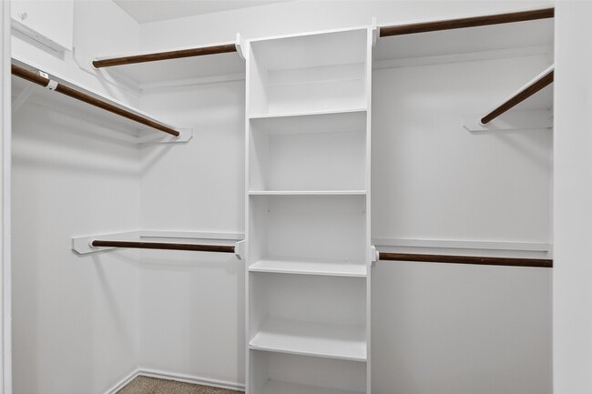 Building Photo - 9807 Tawny Trace Ct