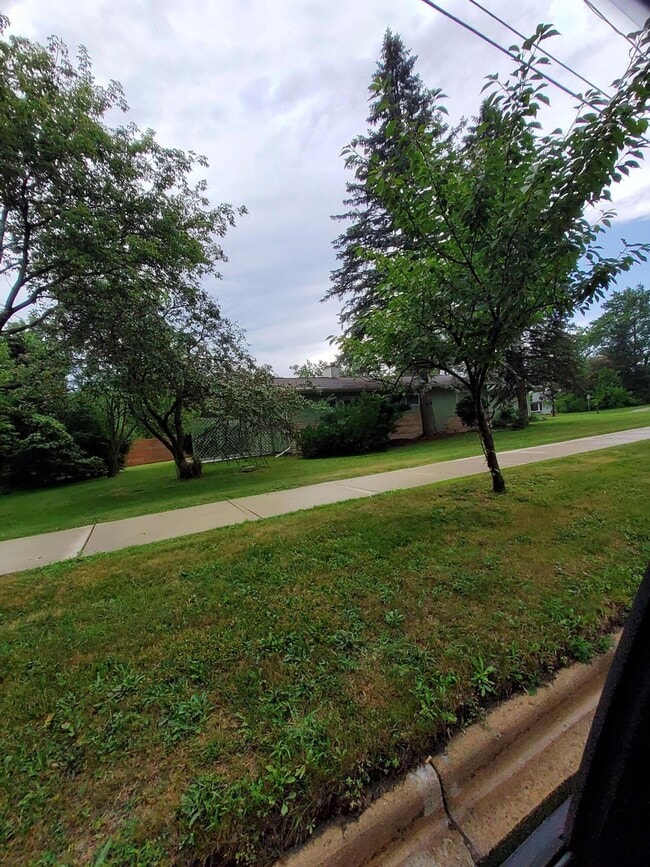 Building Photo - 2828 Packard St