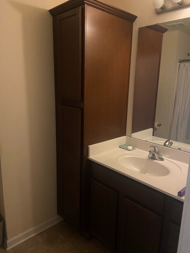 One of the upstairs bathrooms - 11114 Kanturk Ct