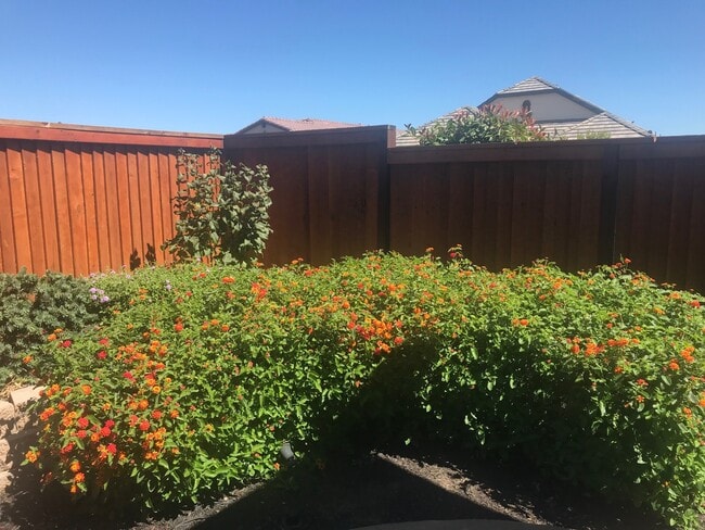 Building Photo - Charming 2 Bed 2 Bath - Trilogy at The Vineyards