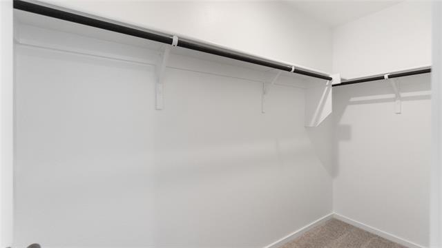 Building Photo - 1263 Falcon Hts Dr
