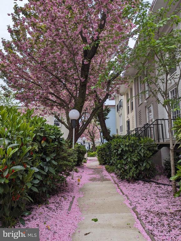 Building Photo - 241 G St SW