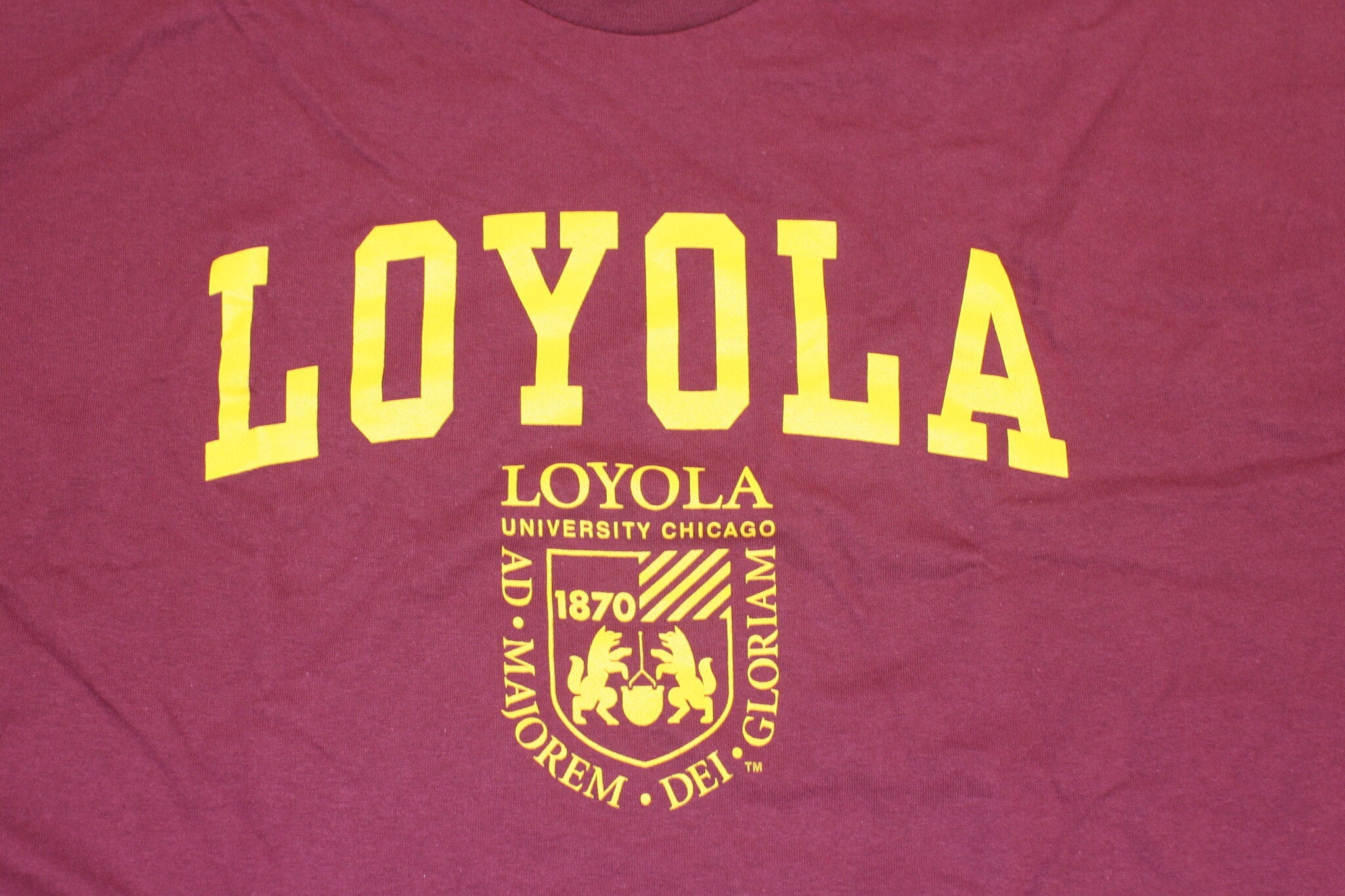 Loyola University Students Welcome Home! - 1415 W Rosemont Ave
