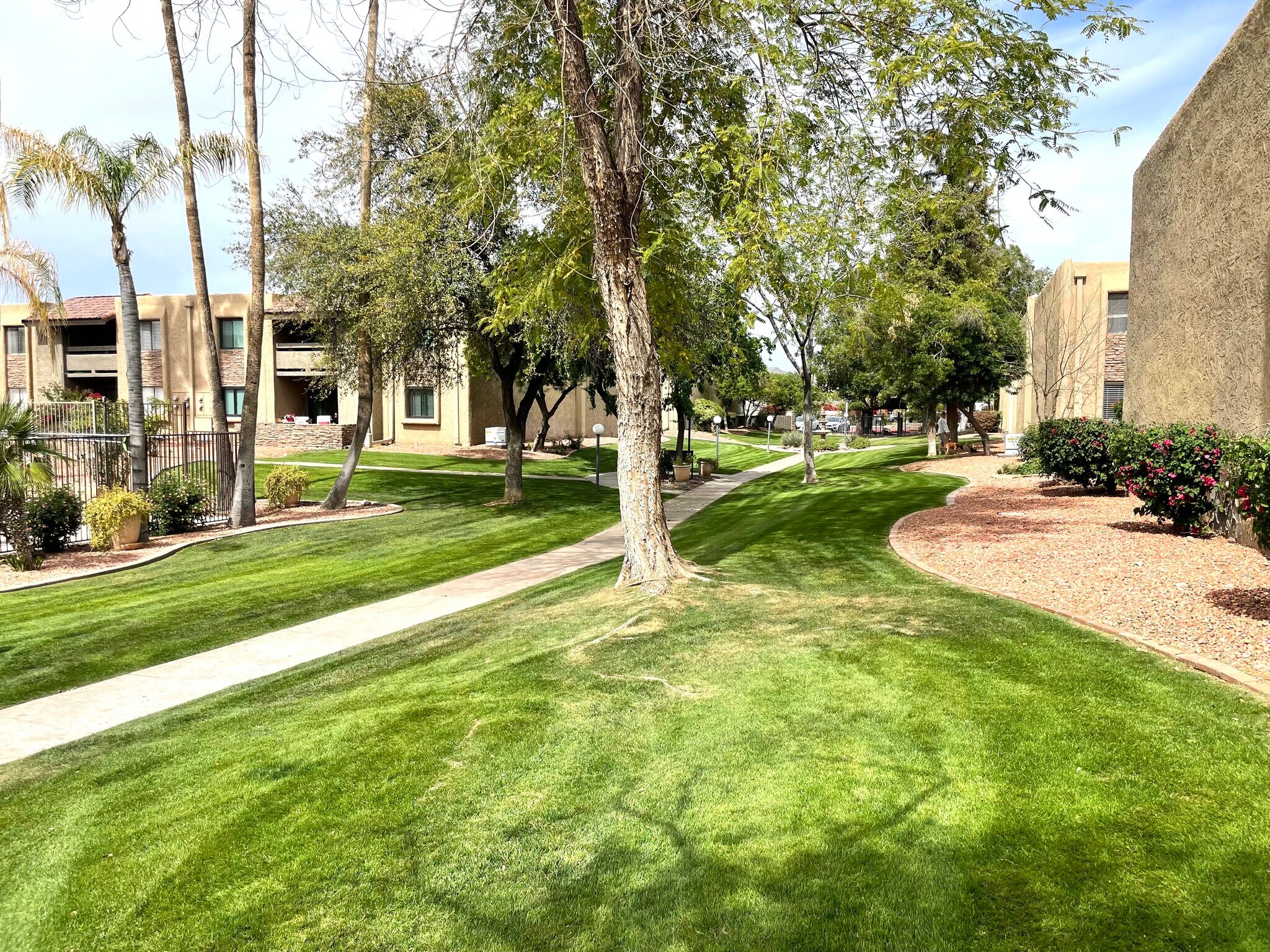 Building Photo - 3825 E Camelback Rd