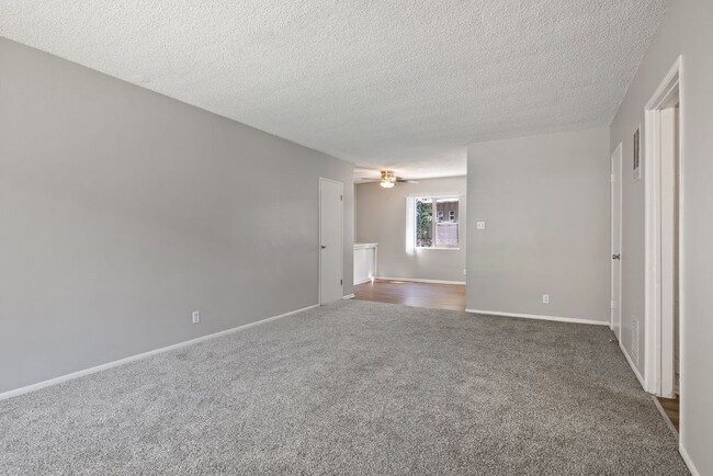 Building Photo - Roxanne Apartments