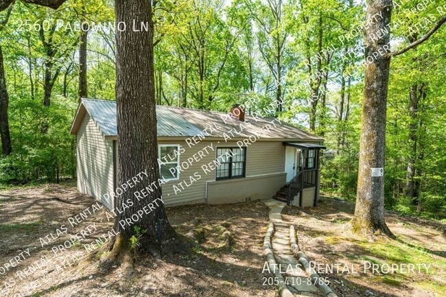 Building Photo - 2560 Palomino Ln