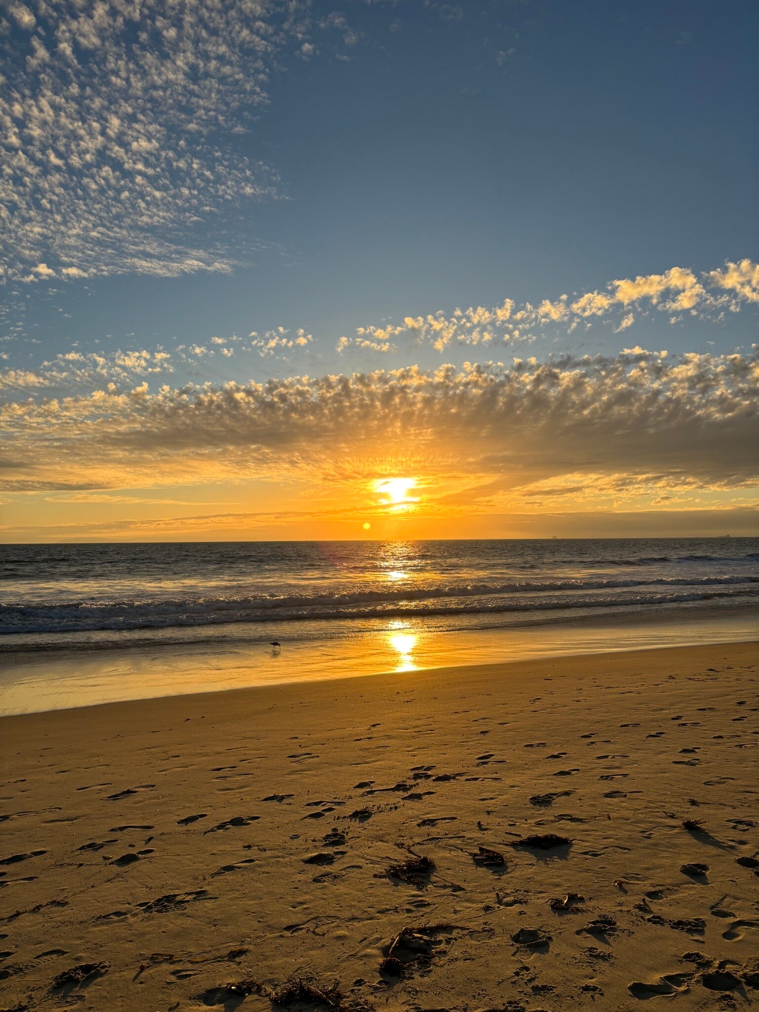 Building Photo - 5312 Seashore Dr