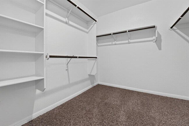 Building Photo - 221 Sand Lily Ln