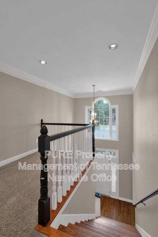 Building Photo - 309 Evan Ct