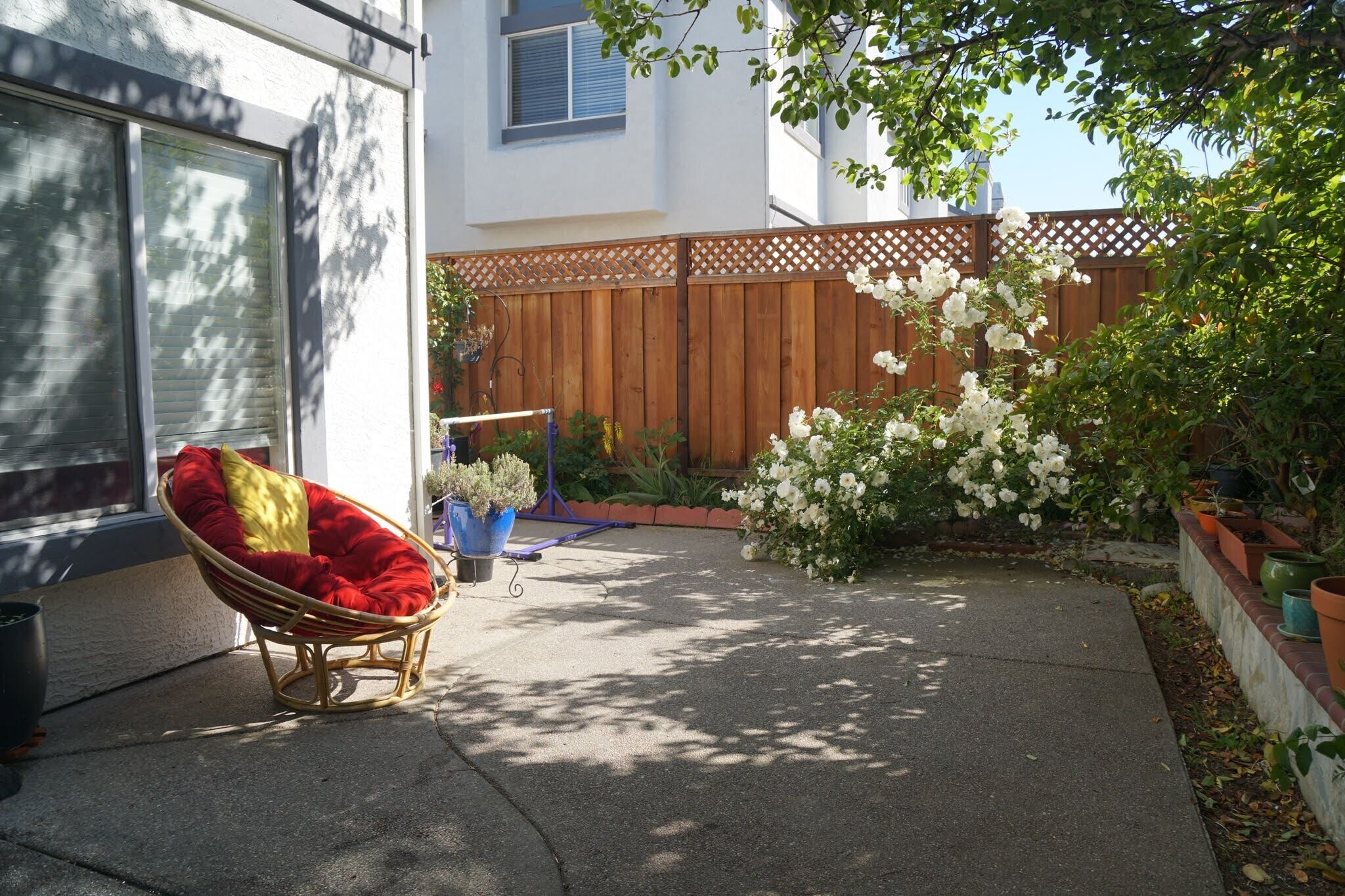 Backyard - 3713 Sun West Ter