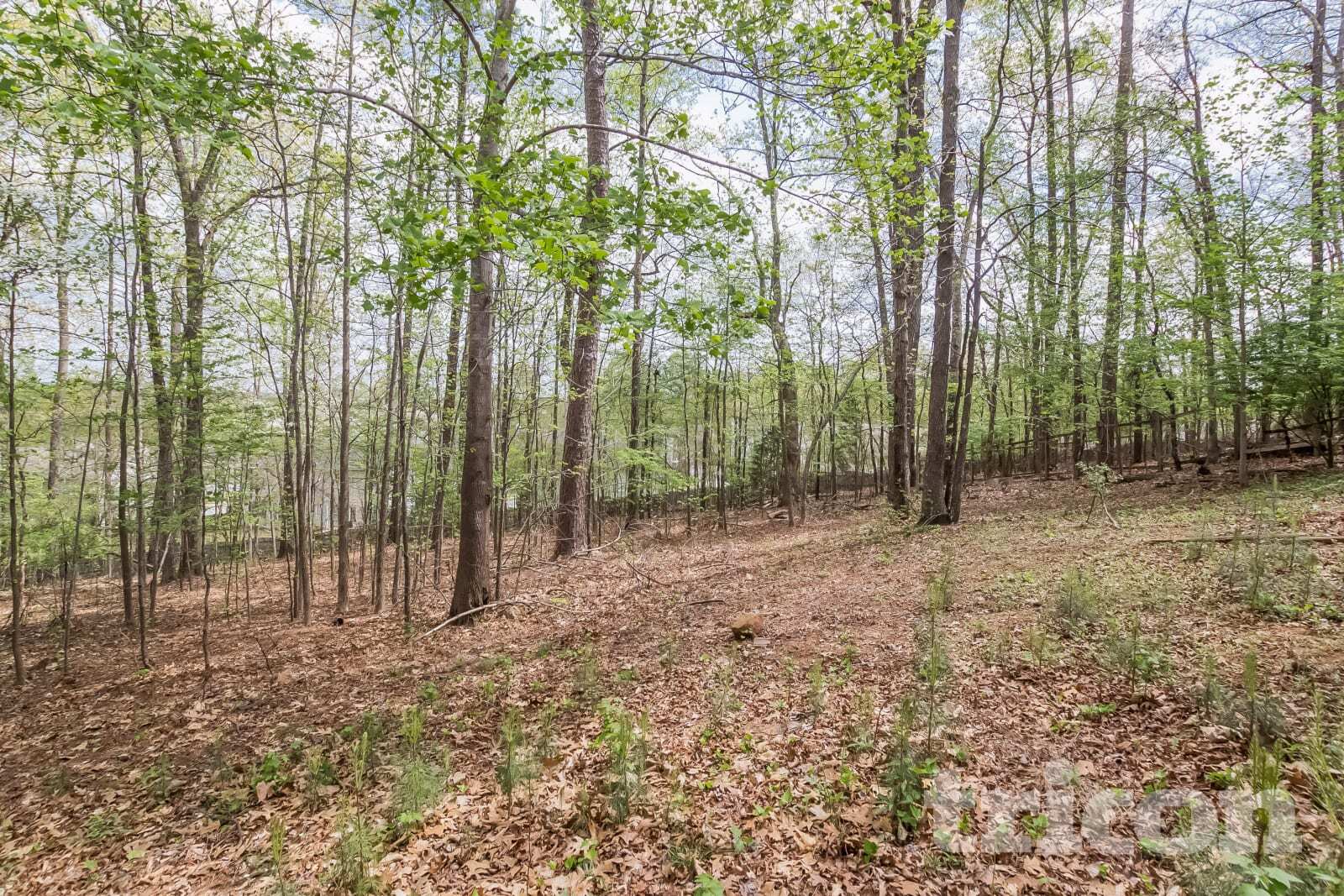 Building Photo - 234 Deerchase Dr