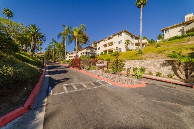 Building Photo - 3573 Paseo De Los Californianos