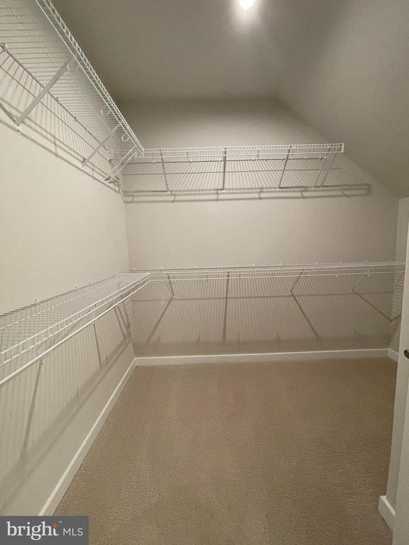 Building Photo - 4161 Red Mulberry Dr
