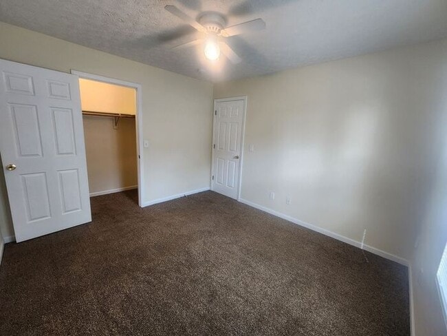 Building Photo - Open Concept 2 Bedroom Triplex