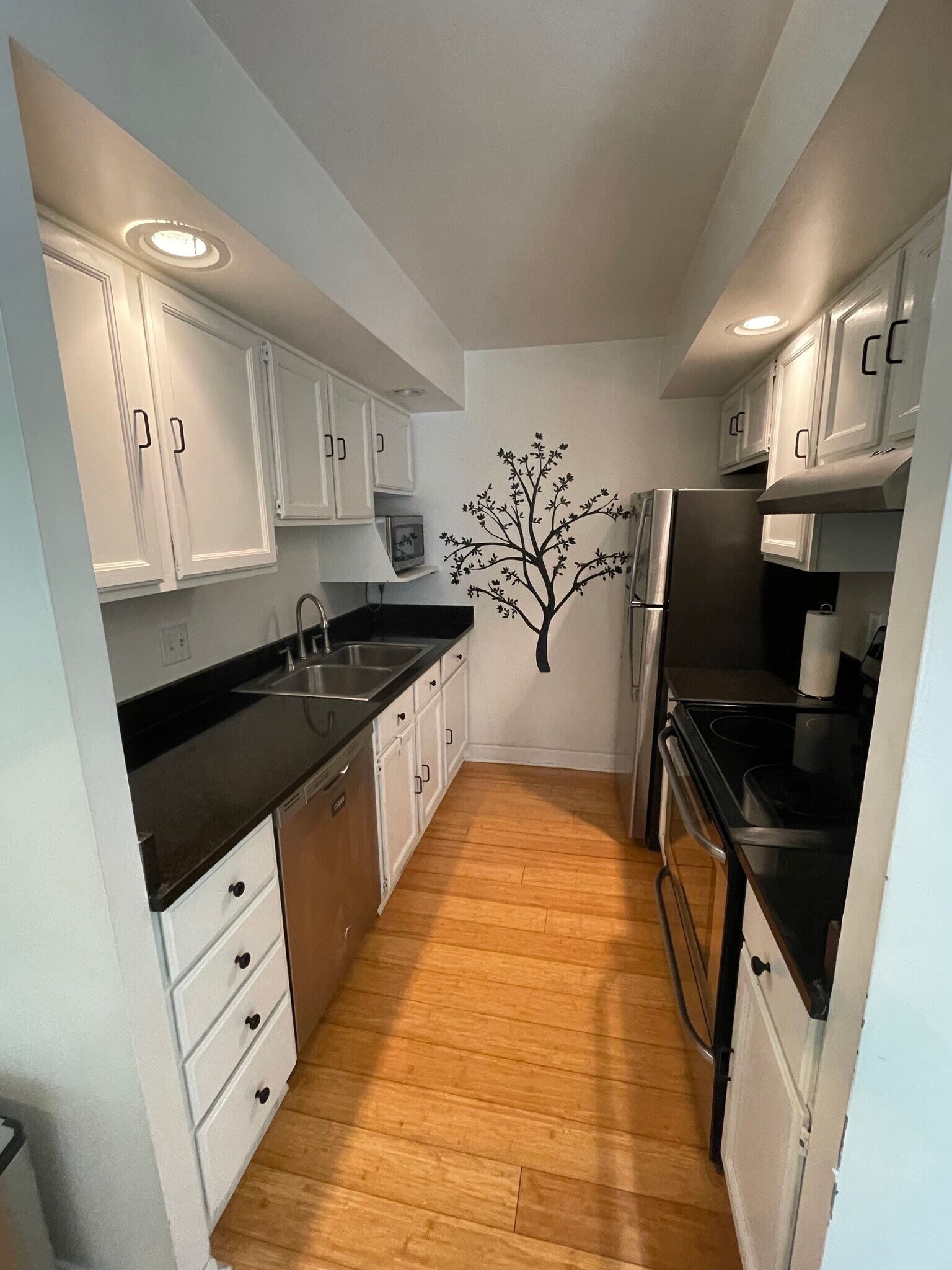 Kitchen - 205 E Jolly Rd