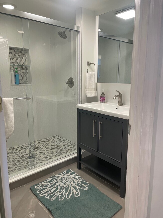 Basement bathroom - 5151 MacArthur Blvd NW