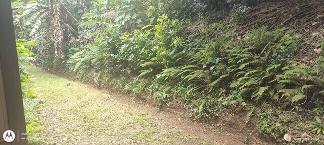 Building Photo - Beautiful 4 bed/ 2 bath/ 2 parking In Kaneohe