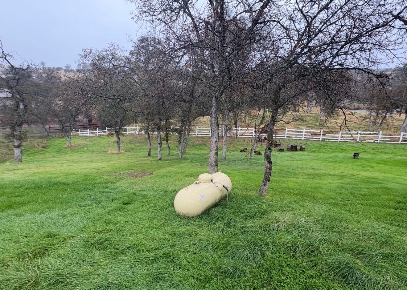 Building Photo - 13600 Pino Ct