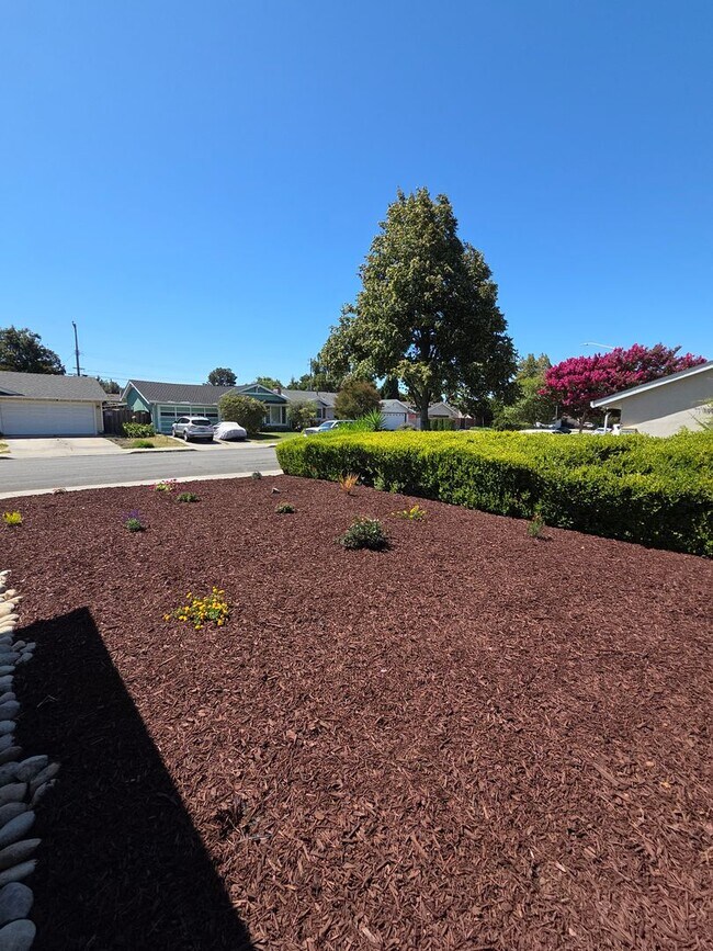Building Photo - Fantastic 3 Bedroom, 2 Bath home in Santa Clara with upgrades galore!