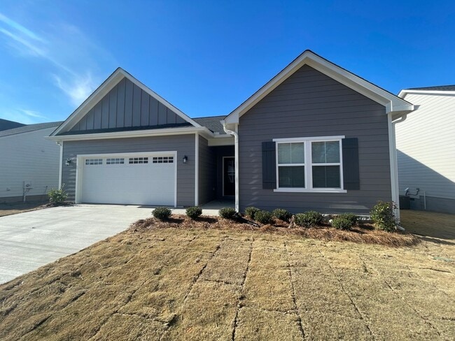 Building Photo - Brand New 3/2 House in Celanese- $1,995