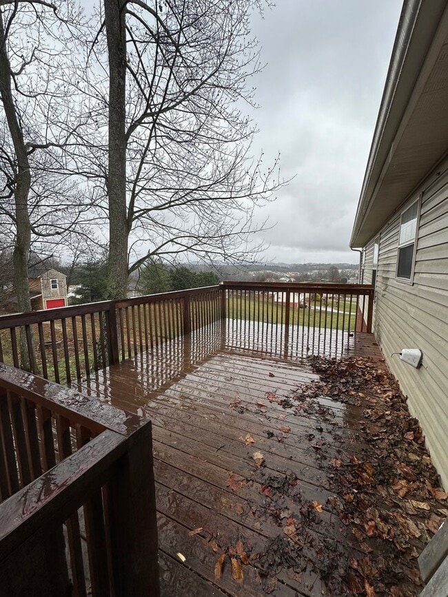 Building Photo - 4 Bedroom/3 Bathroom House in Piney Flats, TN