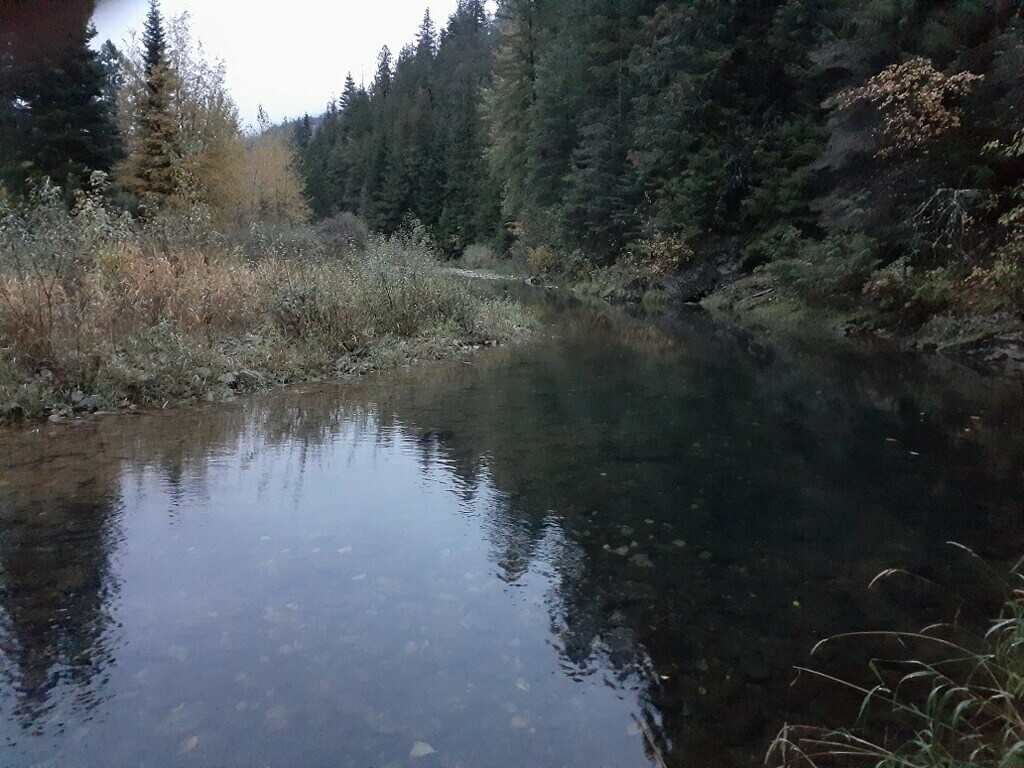 Building Photo - 19804 S Latour Creek Rd