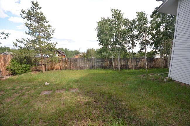 Building Photo - Fairplay home available 10/1/26, yard, two living spaces!