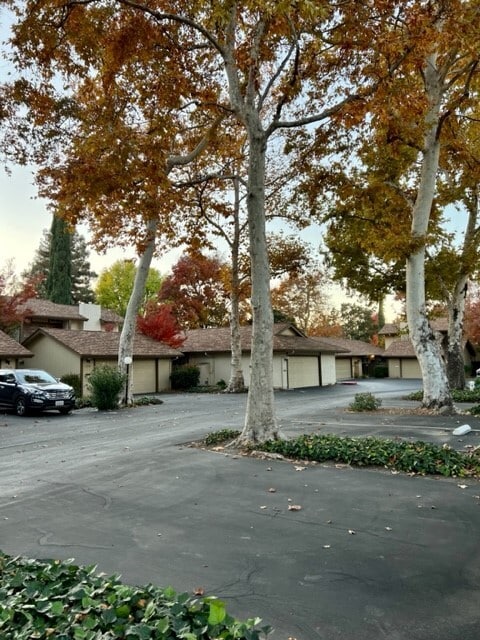 Building Photo - 1745 Countrywood Ct