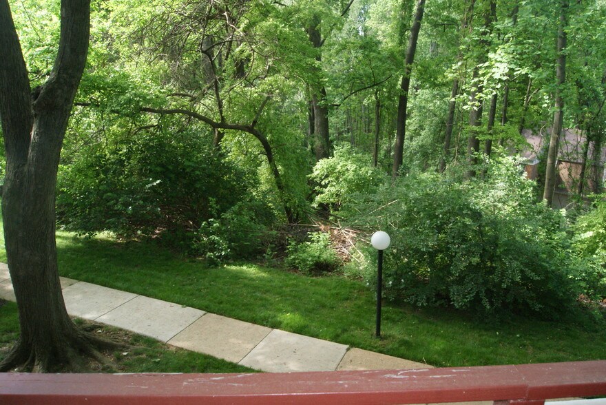 Building Photo - 7527 Spring Lake Dr