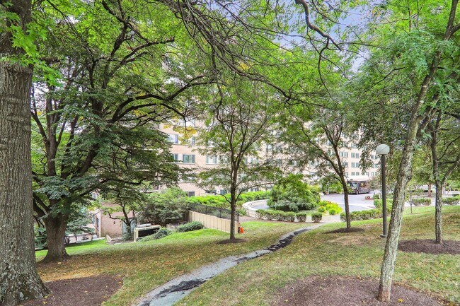 Building Photo - Spacious 1br/1bth Condo minutes from Downtown Silver Spring!