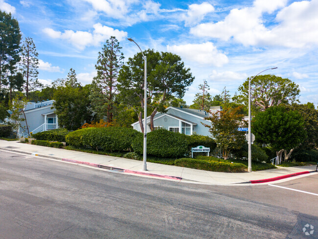 Primary - Ponderosa Springs