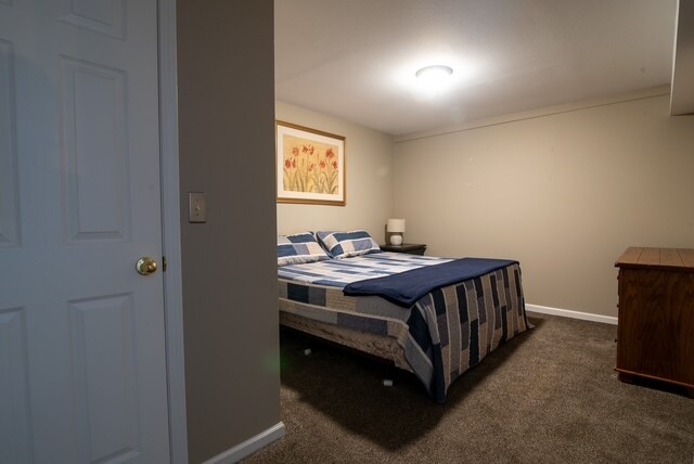 Large bedroom in basement - 5555 E Briarwood Ave