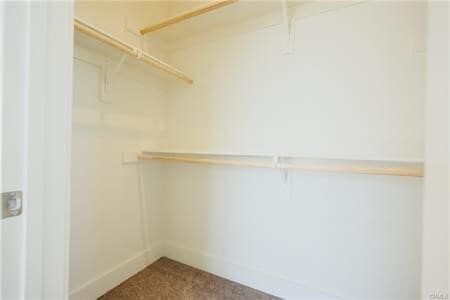 Building Photo - 509 S Andrew Ln
