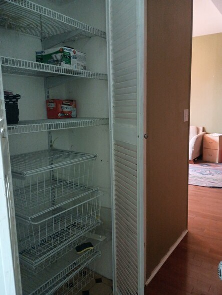 Bathroom closet with storage - 4386 Chouteau Ave