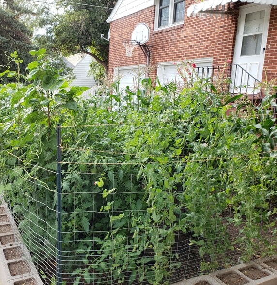 Building Photo - 901 Country Club Ave