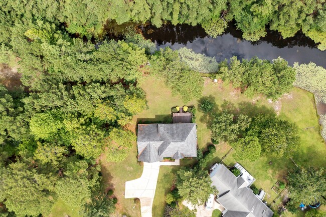 Building Photo - 51 Loblolly Ct
