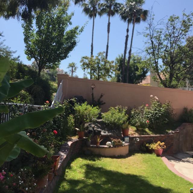 Building Photo - 1000 Calle Allegre