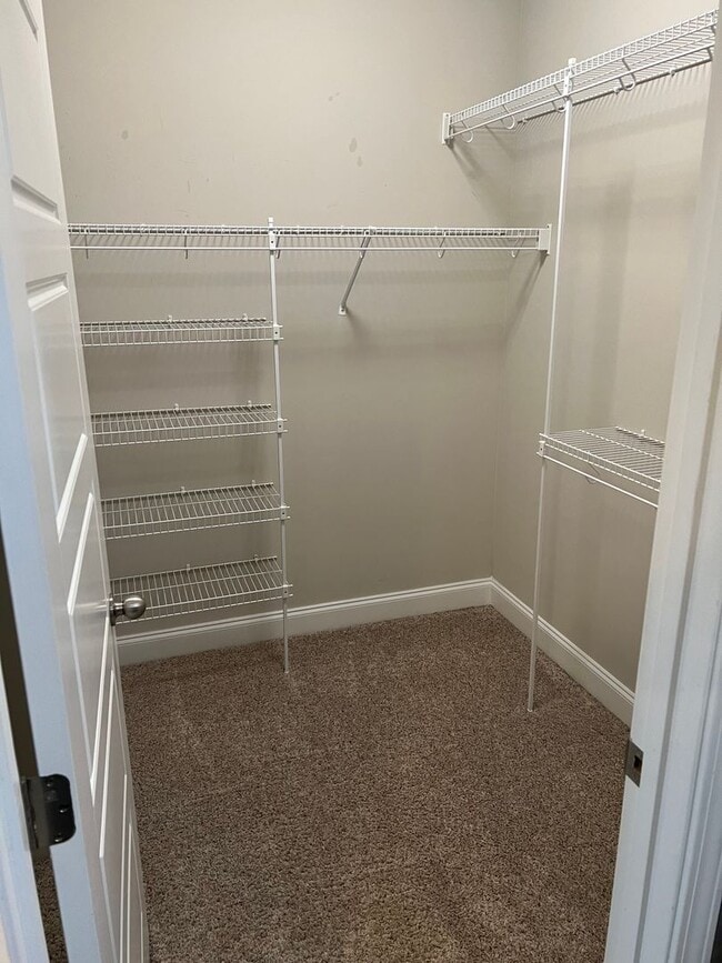 Building Photo - Spacious 4 Bedroom Home in Sango