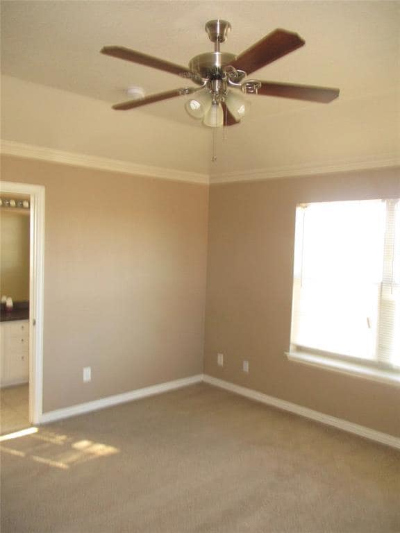 Building Photo - 702 Nelson Dr