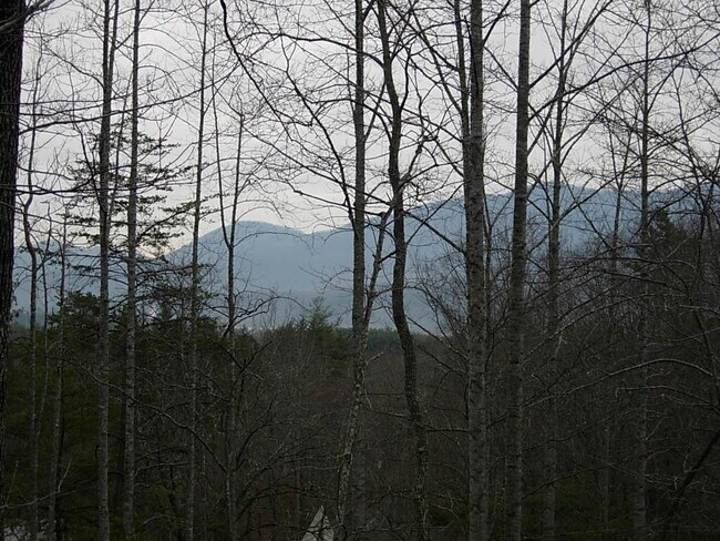 Building Photo - Swannanoa Rental! 6 or 12 month lease options!