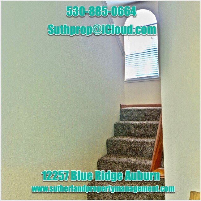 Building Photo - 12257 Blue Ridge Ct